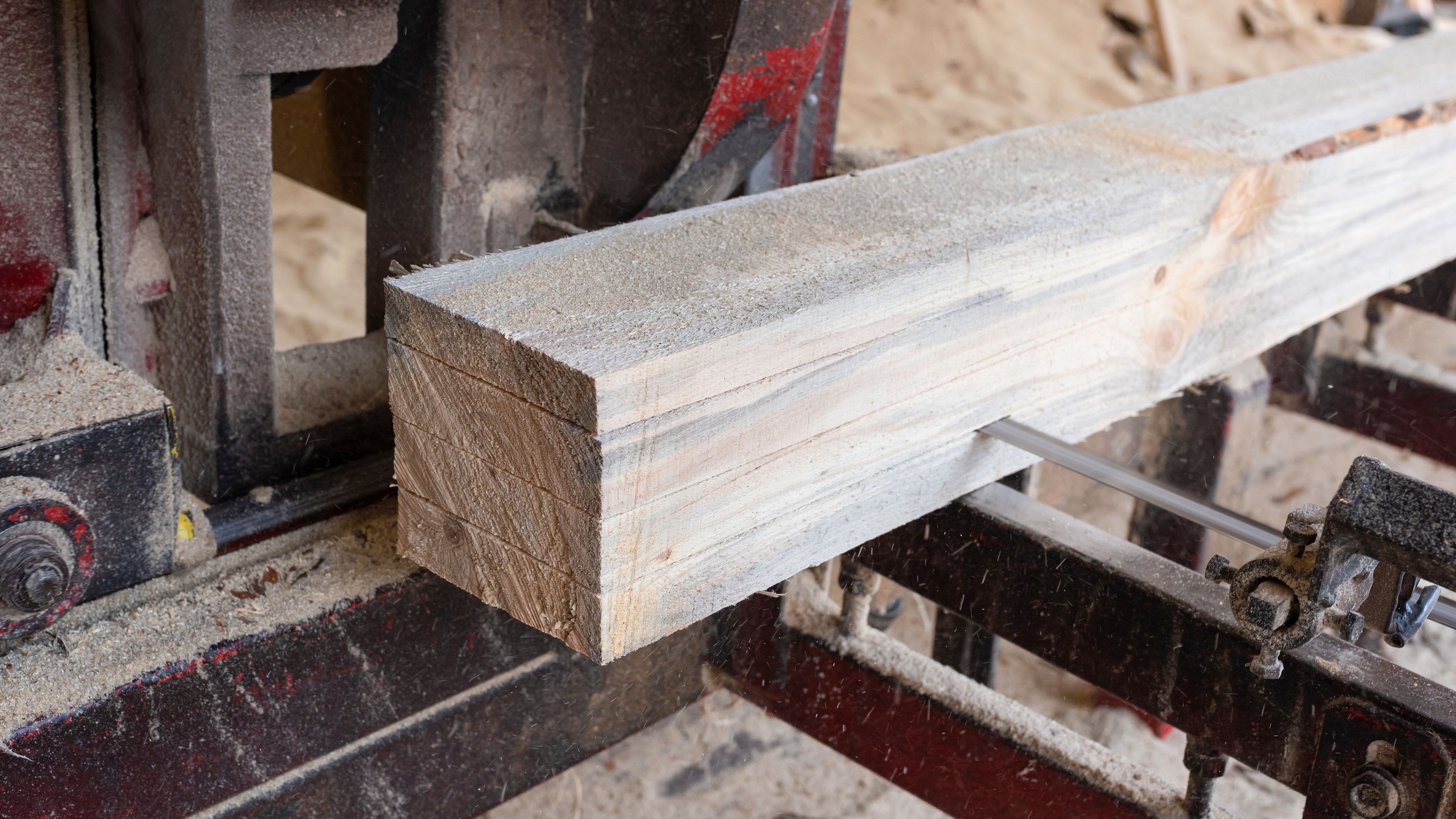 Procesado de paneles de madera en línea industrial de aserradero